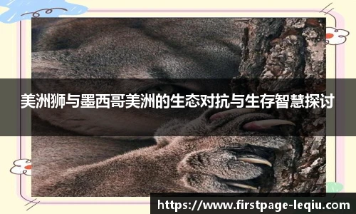 乐球直播