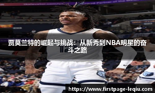 乐球体育直播